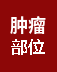 肿瘤部位