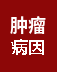肿瘤病因